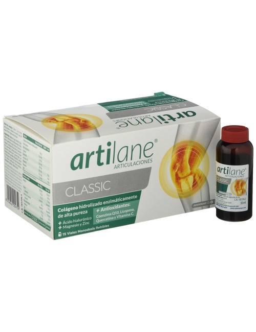 ARTILANE 15 AMP